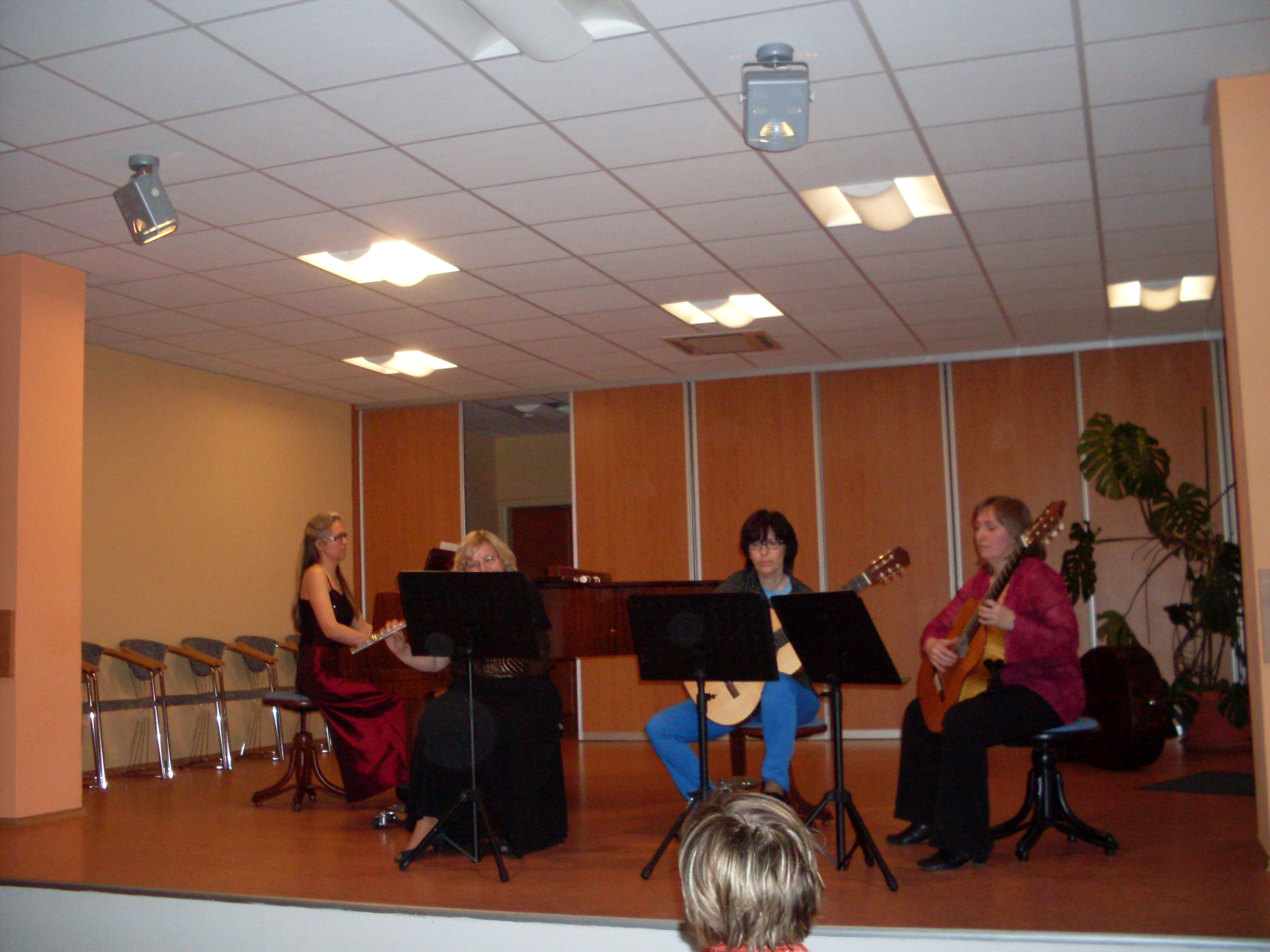 Koncert Lipník nad Bečvou,Ladislava Jančová§Corda Magico
